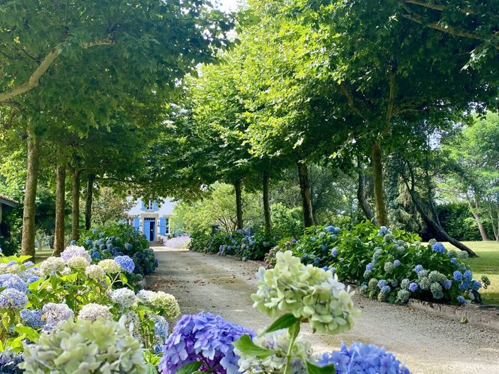 Image No.5-6 Bed House for sale