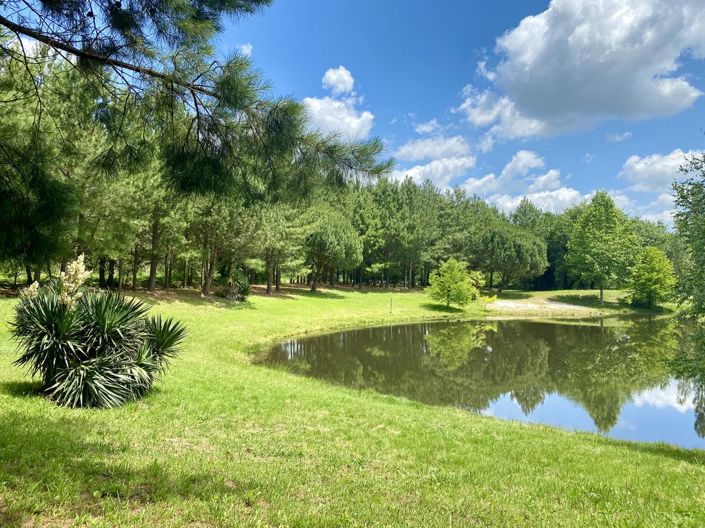 Image No.7-6 Bed House for sale