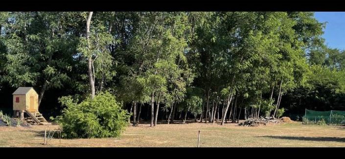 Image No.11-Maison de 3 chambres à vendre à Trémolat