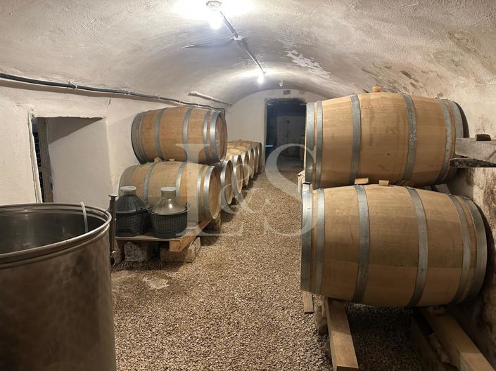 Image No.16-5 Bed House for sale