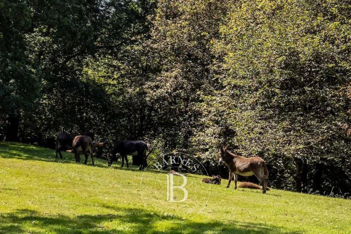 Image No.12-14 Bed House for sale