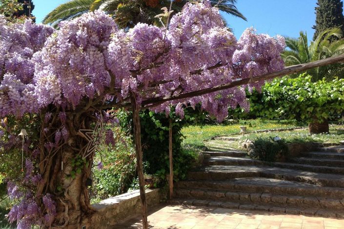 Image No.19-6 Bed House for sale