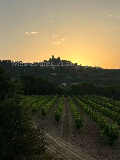 Image No.18-Maison de 3 chambres à vendre à Grimaud