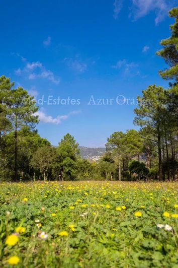 Image No.27-5 Bed House for sale