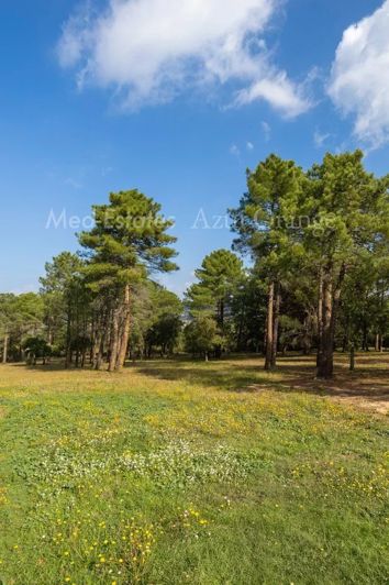 Image No.27-5 Bed House for sale