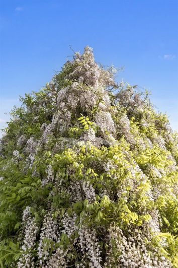 Image No.58-Maison de 5 chambres à vendre à Sainte-Maxime