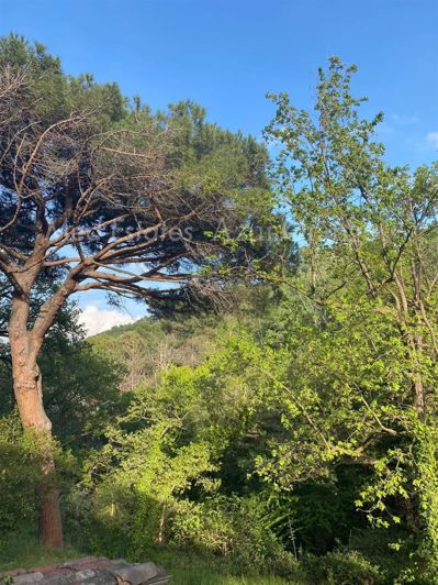 Image No.17-3 Bed House for sale