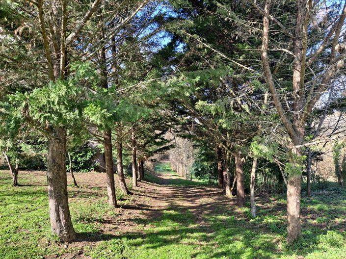 Image No.6-Propriété de 6 chambres à vendre à Vic-Fezensac