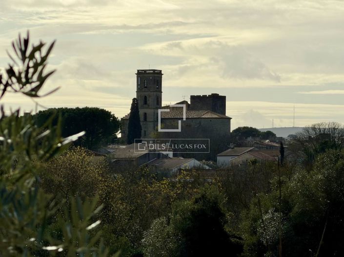 Image No.10-Maison de 6 chambres à vendre à Montpellier