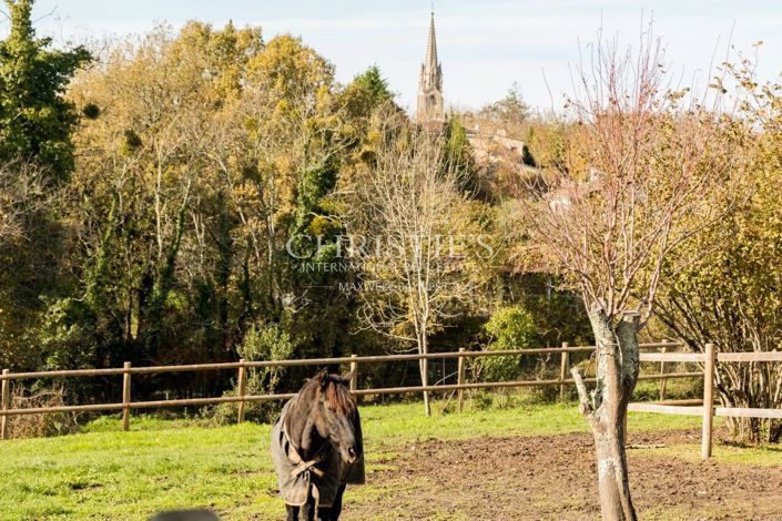 Image No.24-Maison de 6 chambres à vendre à Camblanes-et-Meynac