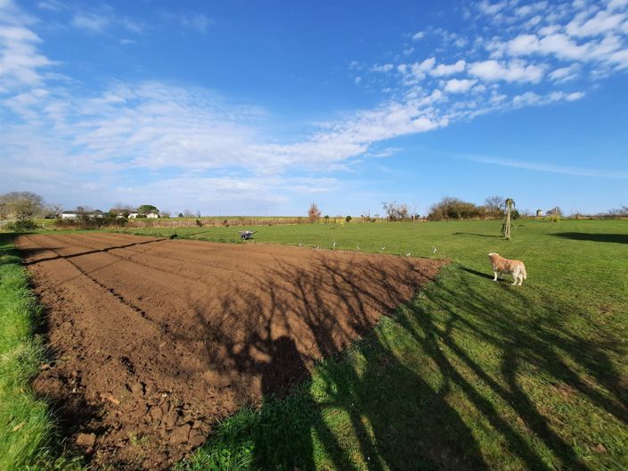 Image No.12-Maison de 3 chambres à vendre à Blasimon
