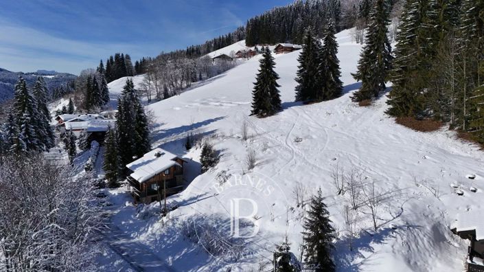 Image No.11-Propriété à vendre à Les Gets