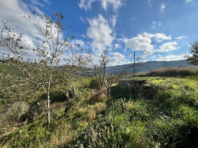 Image No.11-1 Bed House for sale