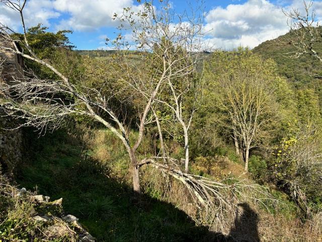 Image No.12-1 Bed House for sale