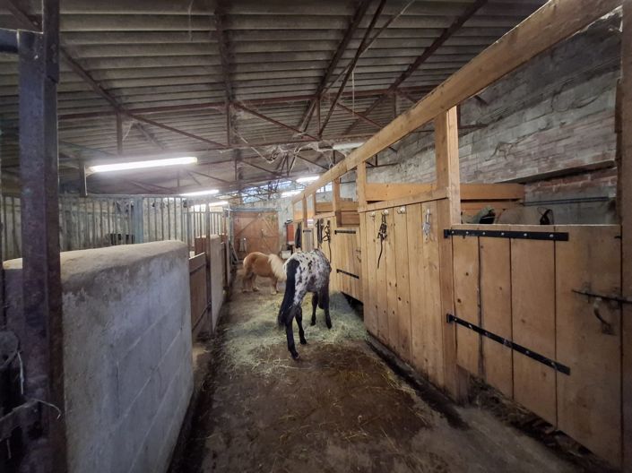 Image No.11-2 Bed House for sale