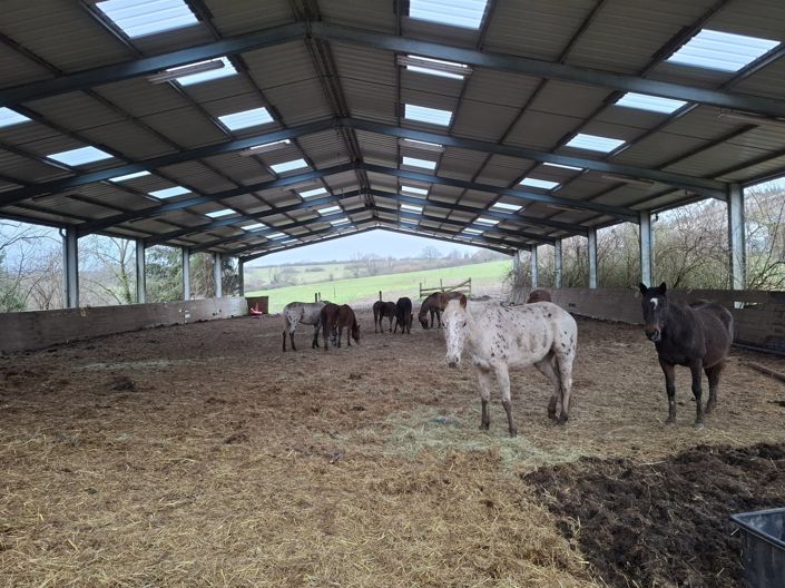 Image No.20-2 Bed House for sale