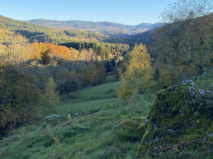 Image No.15-Maison de 3 chambres à vendre à Augerolles
