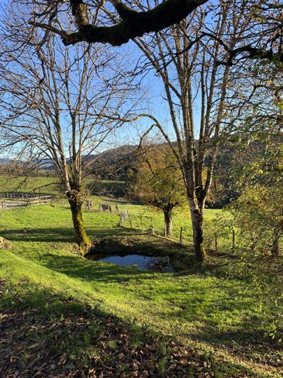 Image No.6-Maison de 3 chambres à vendre à Augerolles