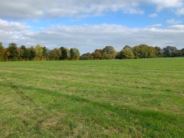 Image No.17-Maison de 3 chambres à vendre à Laval
