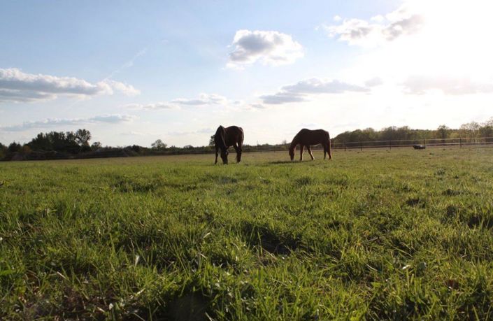 Image No.9-2 Bed House for sale