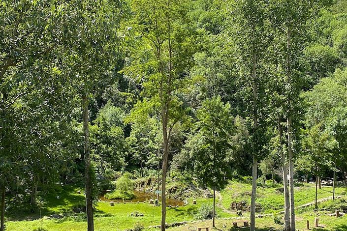 Image No.19-Maison de 3 chambres à vendre à Arles-sur-Tech