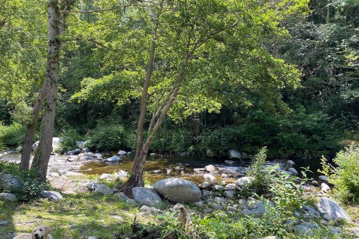 Image No.24-Maison de 3 chambres à vendre à Arles-sur-Tech