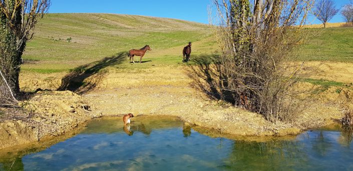 Image No.21-Maison de 9 chambres à vendre à Auch
