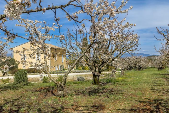 Image No.11-5 Bed House for sale