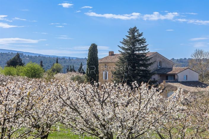 Image No.26-5 Bed House for sale