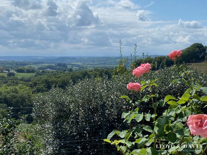 Image No.3-5 Bed House for sale