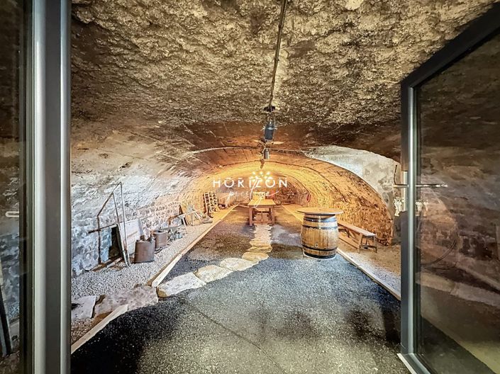 Image No.22-Propriété de 8 chambres à vendre à Émeringes