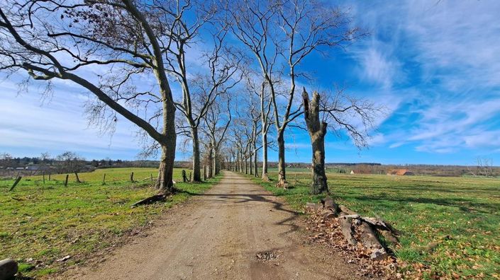 Image No.21-Propriété de 8 chambres à vendre à Vichy