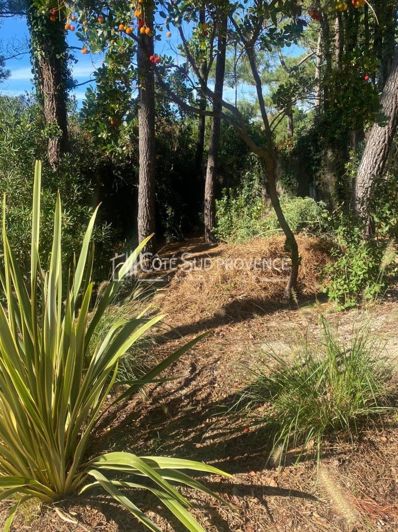 Image No.20-House for sale