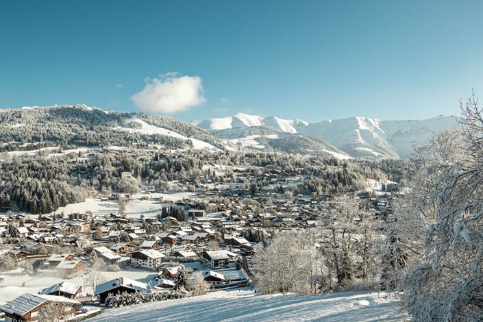 Image No.4-10 Bed House for sale