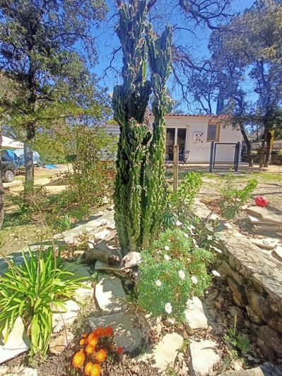 Image No.2-5 Bed House for sale