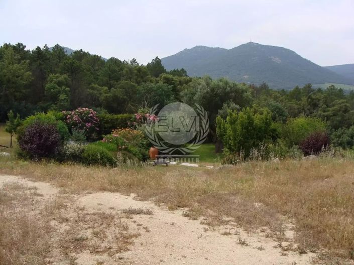 Image No.25-3 Bed House for sale