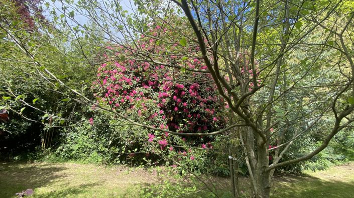 Image No.5-7 Bed House for sale