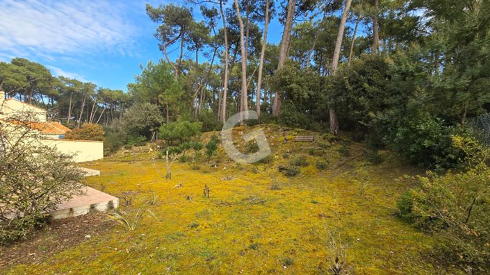 Image No.11-Maison de 3 chambres à vendre à Jard-sur-Mer
