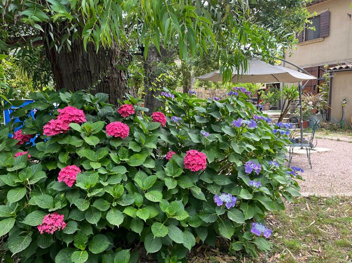 Image No.14-4 Bed House for sale