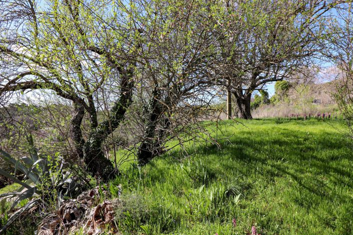 Image No.29-Maison de 6 chambres à vendre à Flayosc