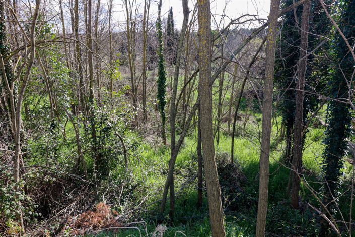 Image No.34-Maison de 6 chambres à vendre à Flayosc