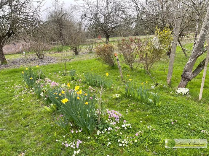 Image No.19-Maison de 3 chambres à vendre à Aigre