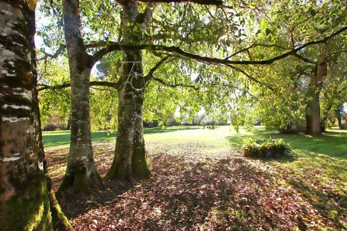 Image No.16-Maison à vendre à Montauban