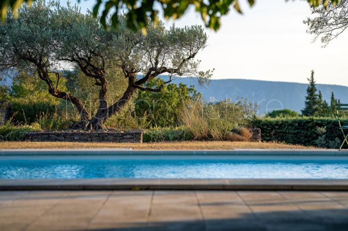 Image No.3-6 Bed House for sale