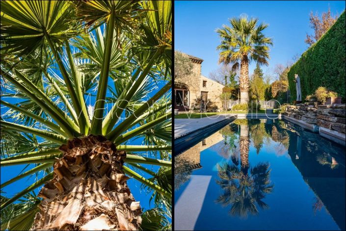 Image No.12-6 Bed House for sale