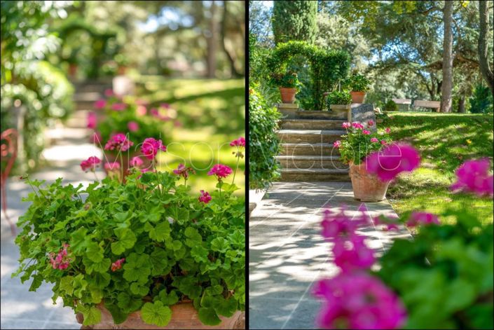 Image No.12-6 Bed House for sale