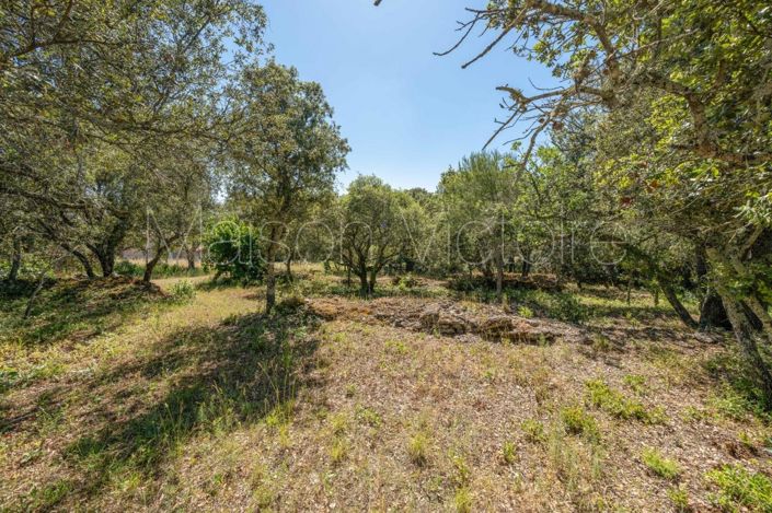 Image No.19-5 Bed House for sale