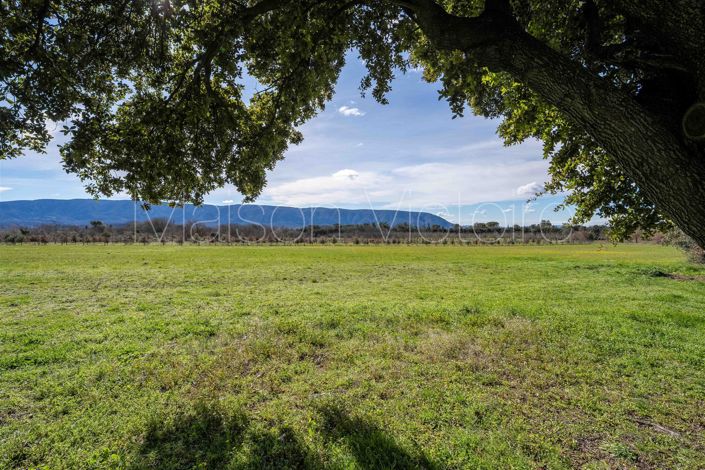 Image No.11-3 Bed House for sale