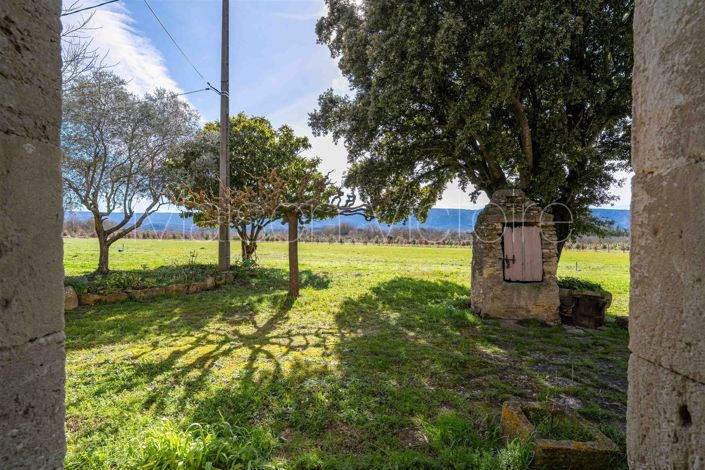 Image No.14-3 Bed House for sale