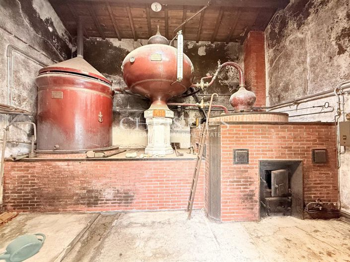 Image No.31-Maison de 4 chambres à vendre à Cognac